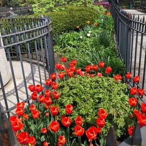 Meet your Posher, Allison